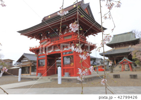 板橋不動尊 楼門(仁王門 山門) 茨城県つくばみらい市 板橋不動尊 楼門(仁王門 山門) 茨城県つくばみらい市 42799426