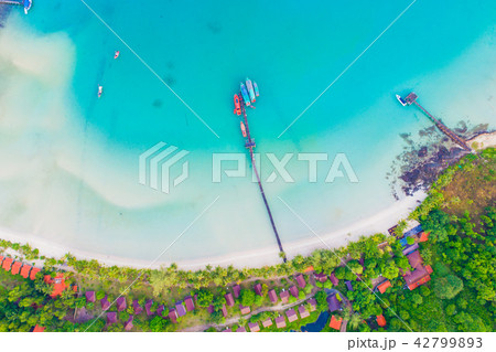 Seashore blue ocean with green tree forest 42799893