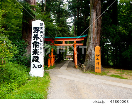 中尊寺白山神社 中尊寺白山神社 42800008
