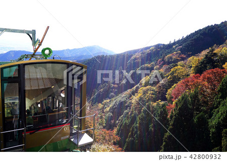 大山ケーブルカー 42800932