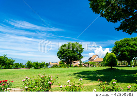 山梨 ハイジの村 42800983