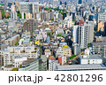 東京の街並み 42801296