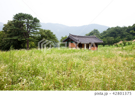 江原道 ゴンボンサ 建築 42801375
