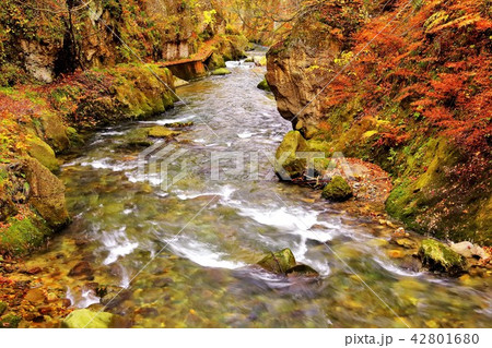 鳴子郷の渓流 42801680