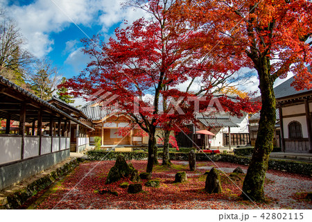 写真素材: 锦秋の永源寺 石庭 庭 伽蓝