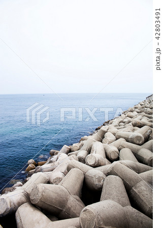 防波堤 江原道 高城郡 42803491