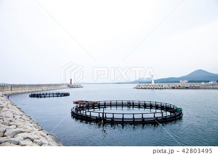 江原道 高城郡 ゴンヒョンジン 42803495