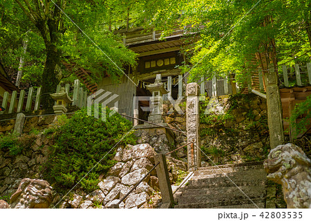 目の神様で有名な 青倉神社 兵庫県朝来市山内権現谷 作品コメント欄に撮影位置ありの写真素材