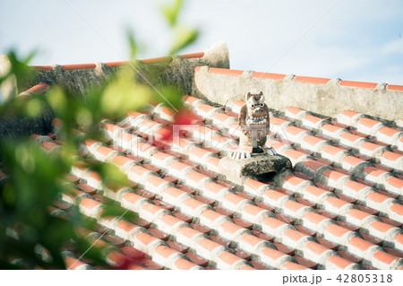 竹富島のシーサー 42805318