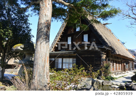 世界遺産「白川郷」 世界遺産「白川郷」 42805939