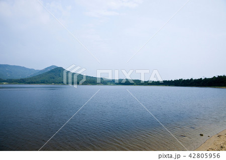 江原道 高城郡 山 42805956