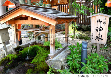 八坂神社の御神水（京都） 42806576
