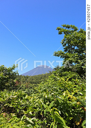 夏の羊蹄山 夏の羊蹄山 42807457