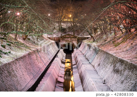 滋賀県 琵琶湖疏水 雪景色 滋賀県 琵琶湖疏水 雪景色 42808330
