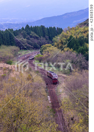 大畑駅よりいさぶろう1号 大畑駅よりいさぶろう1号 42808599
