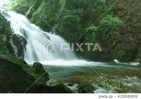 巣栗渓谷 42808908