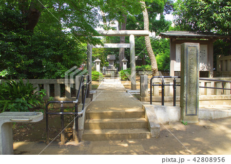 南洲西郷先生留魂祠手墨之碑/東京都大田区南千束2 南洲西郷先生留魂祠手墨之碑/東京都大田区南千束2 42808956