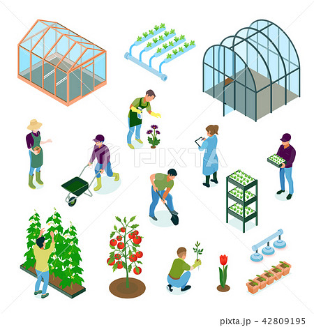 Greenhouse Isometric Set  42809195