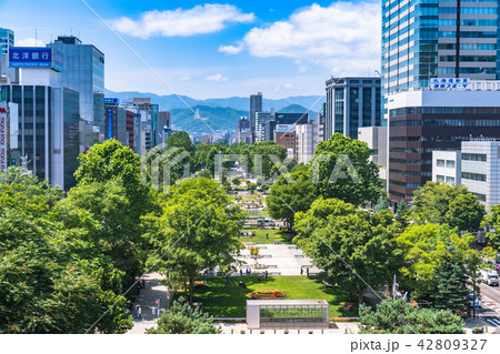 《北海道》札幌・都市風景 42809327