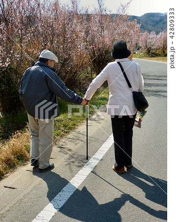 ずっと、いっしょにね 42809333