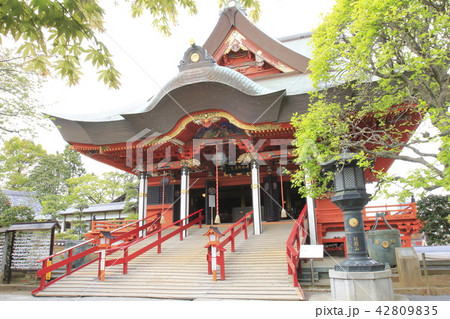 千葉県柏市 布施弁天 本堂 千葉県柏市 布施弁天 本堂 42809835