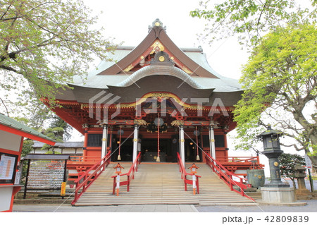千葉県柏市　布施弁天　本堂 42809839