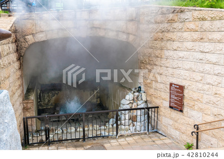 北海道 登別温泉 泉源公園の間欠泉 北海道 登別温泉 泉源公園の間欠泉 42810244