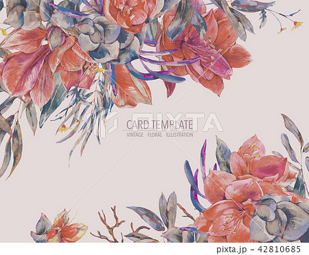 Watercolor floral template card of red flowers, Amaryllis Watercolor floral template card of red flowers, Amaryllis 42810685