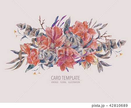 Watercolor floral template card of red flowers, Amaryllis 42810689