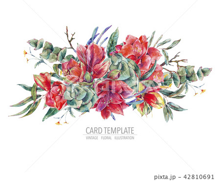 Watercolor floral template card of red flowers, Amaryllis Watercolor floral template card of red flowers, Amaryllis 42810691
