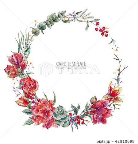 Watercolor floral wreath of red flowers Amaryllis 42810699