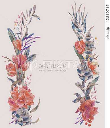 Watercolor floral wreath of red flowers Amaryllis 42810716