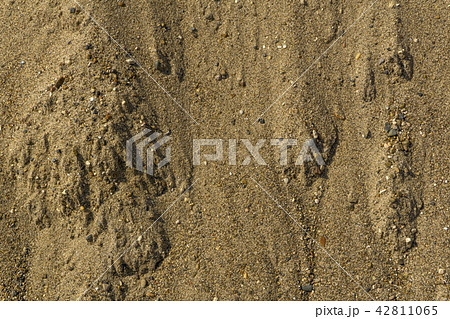 background, texture - river sand background, texture - river sand 42811065