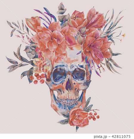 Watercolor vintage skull with red flower Amaryllis Watercolor vintage skull with red flower Amaryllis 42811075
