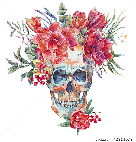 Amaryllisページ Purple Waxed Amaryllis | Holland Bulb Farms | 92209