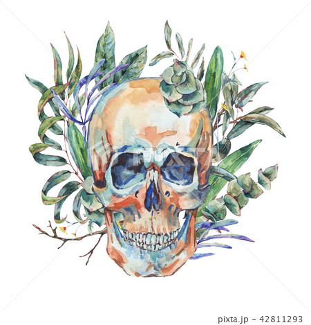 Watercolor vintage skull with green tropical...のイラスト素材