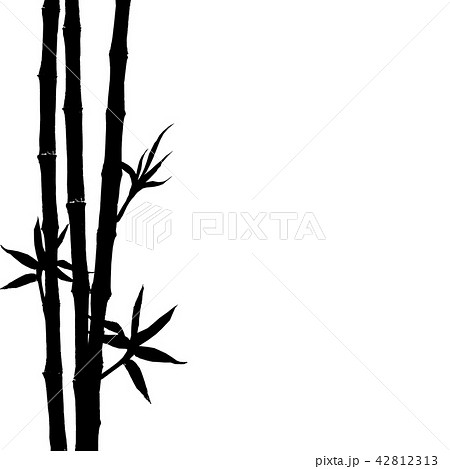 Black silhouette of bamboo on white background Black silhouette of bamboo on white background 42812313