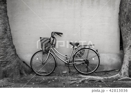 待つ 待ち 自転車 42813036