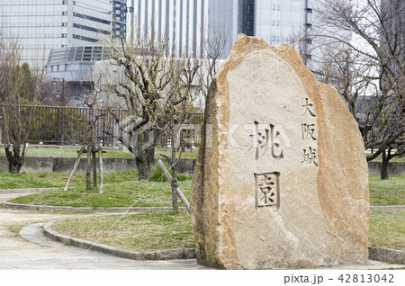 大阪城公園にある桃園（大阪市中央区） 42813042