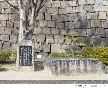 大阪城公園の残念石（大阪市中央区） 42813363