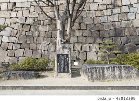 大阪城公園の残念石（大阪市中央区） 42813399