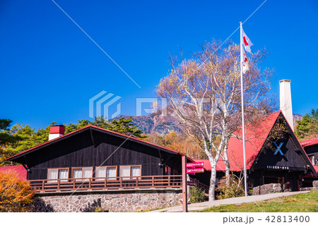 （山梨県）清里の清泉寮　秋 42813400