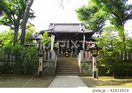 千束八幡神社(洗足池八幡宮)/東京都大田区南千束2 42813629