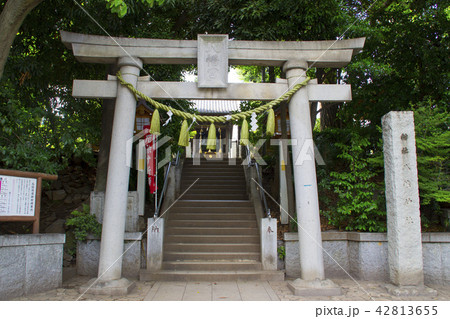 千束八幡神社(洗足池八幡宮)/東京都大田区南千束2 42813655