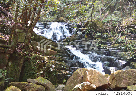 践祚の滝 践祚の滝 42814000