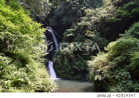 藤本滝 42814347