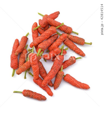 Long Pepper isolated on white background 42814514