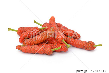 Long Pepper isolated on white background 42814515