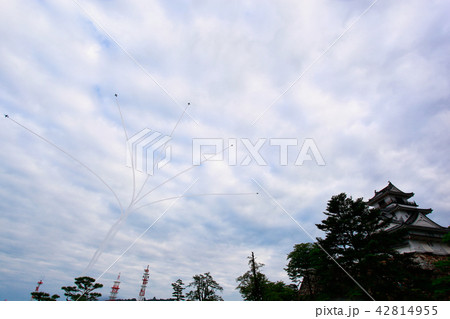 ブルーインパルス ブルーインパルス 42814955