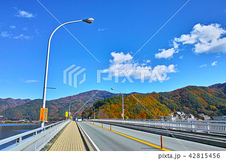 紅葉シーズンの河口湖大橋の御坂方面 紅葉シーズンの河口湖大橋の御坂方面 42815456